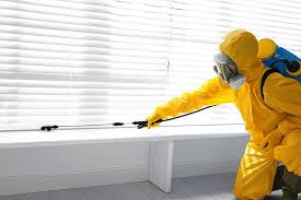 Best Indoor Pest Control  in Southside Place, TX